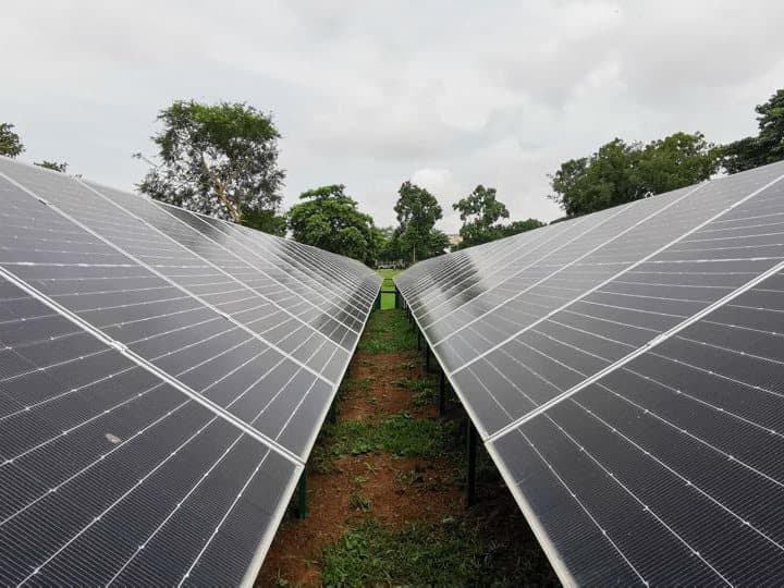 Two long rows of ground-mounted panels seen from between them